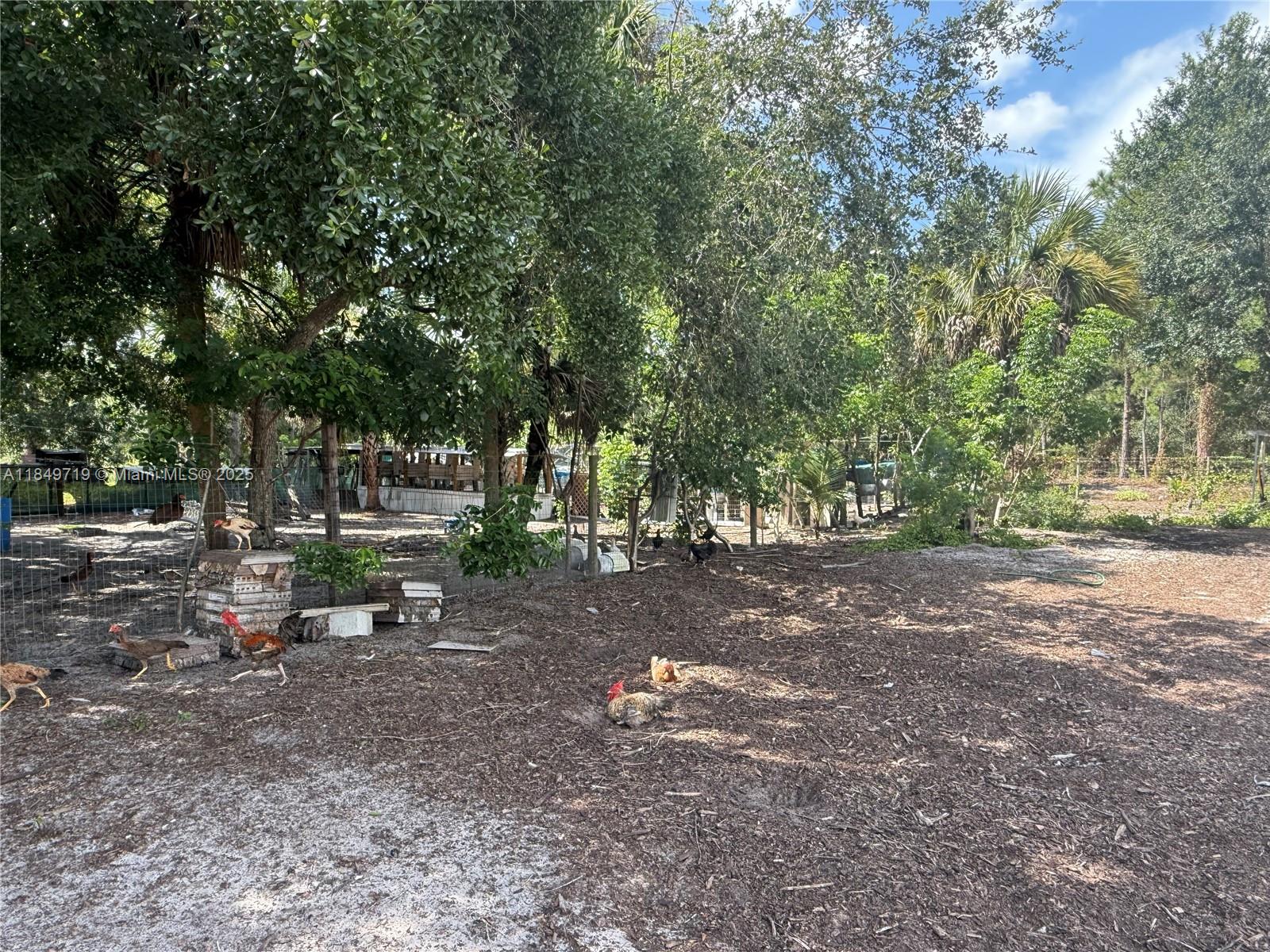 Montura Ranch - Residential