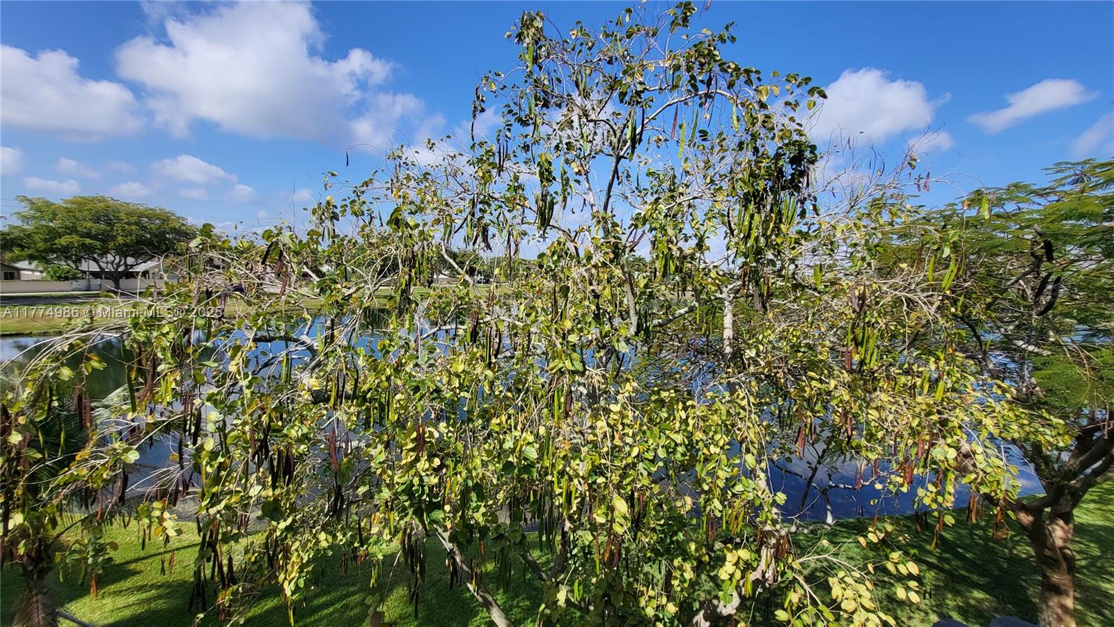 VILLAS DE TUSCANY CONDO - Residential