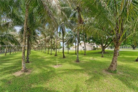 A home in Miami