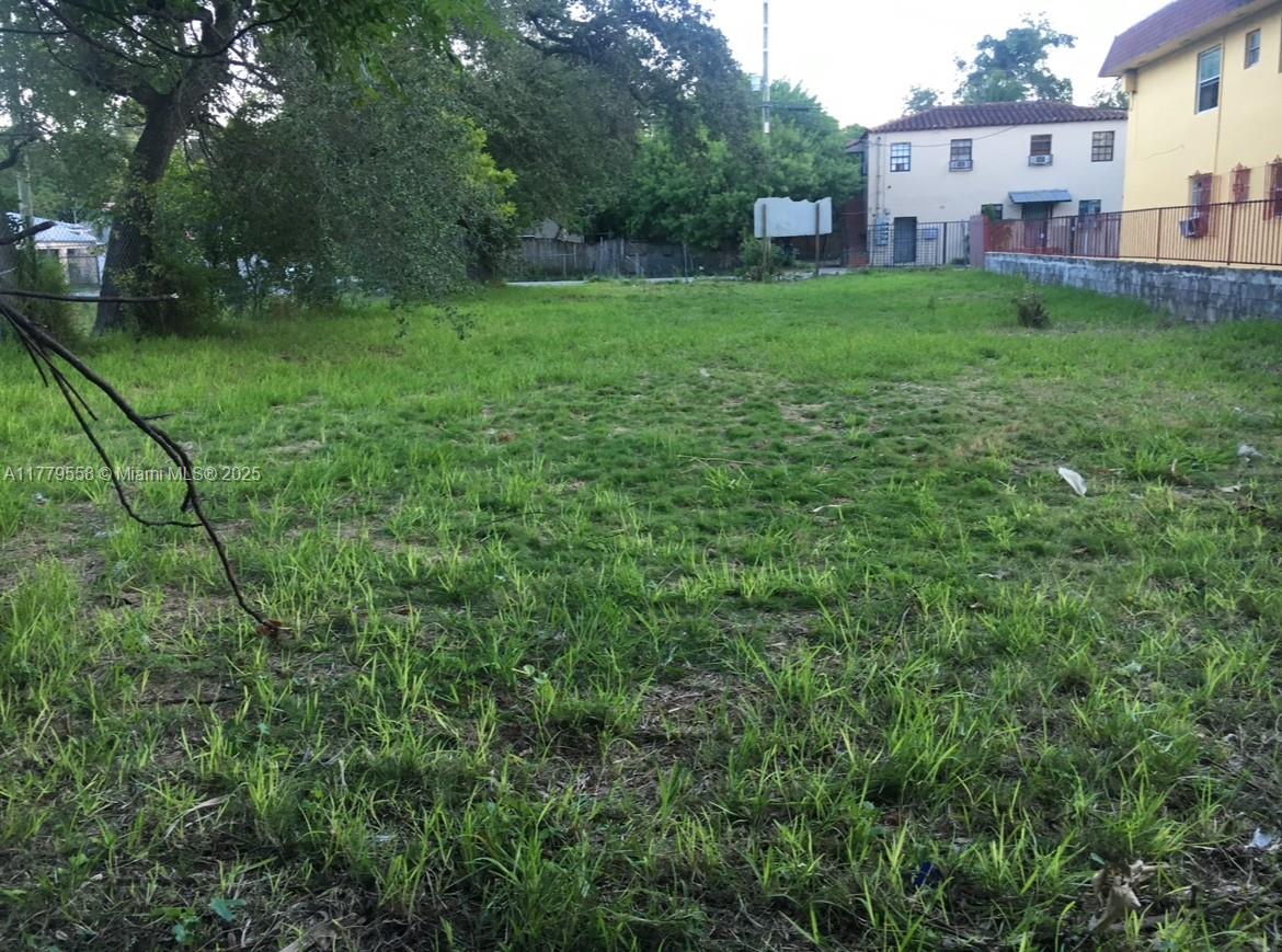 DIXIE HIGHWAY TRACK - Land