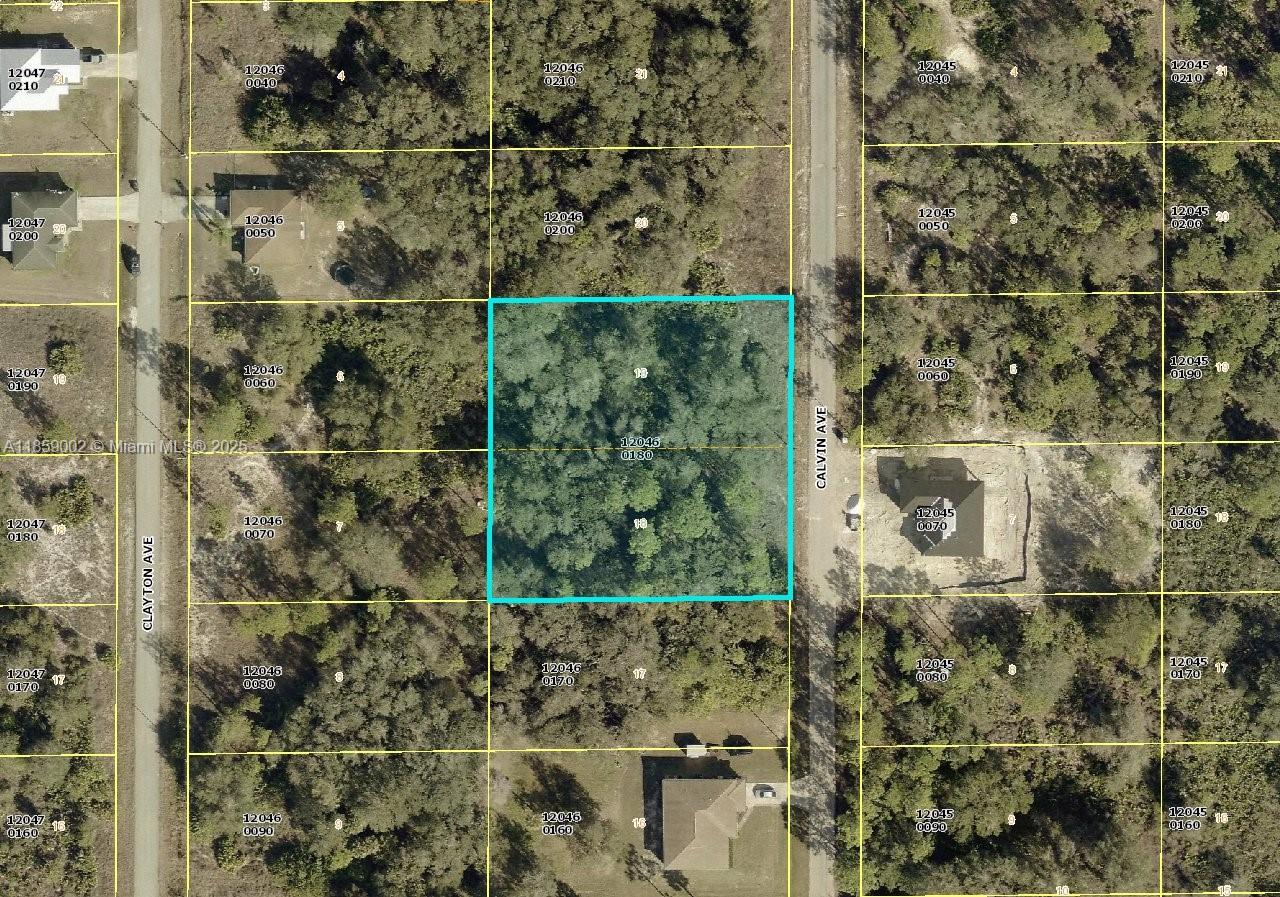 Investor Special! 1-acre vacant lot on Calvin Ave in the booming Lehigh Acres area. Surrounded by new construction, near schools, shopping & major highways, and just minutes to Fort Myers & SWFL beaches. Seller financing up to 5 years. No long credit history required! Buy now to build or hold for future gains without the hassle of bank loans. Rare chance to own in one of SW Florida’s markets!