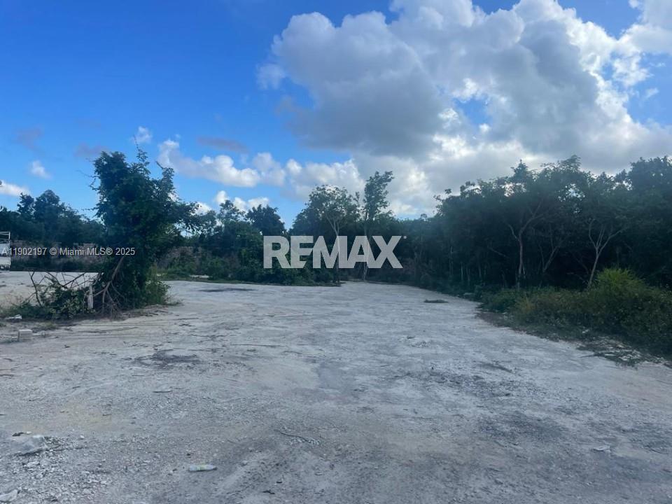 Vista cana punta cana