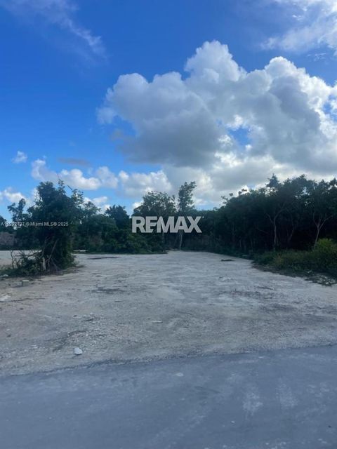 Vista cana punta cana Punta Cana