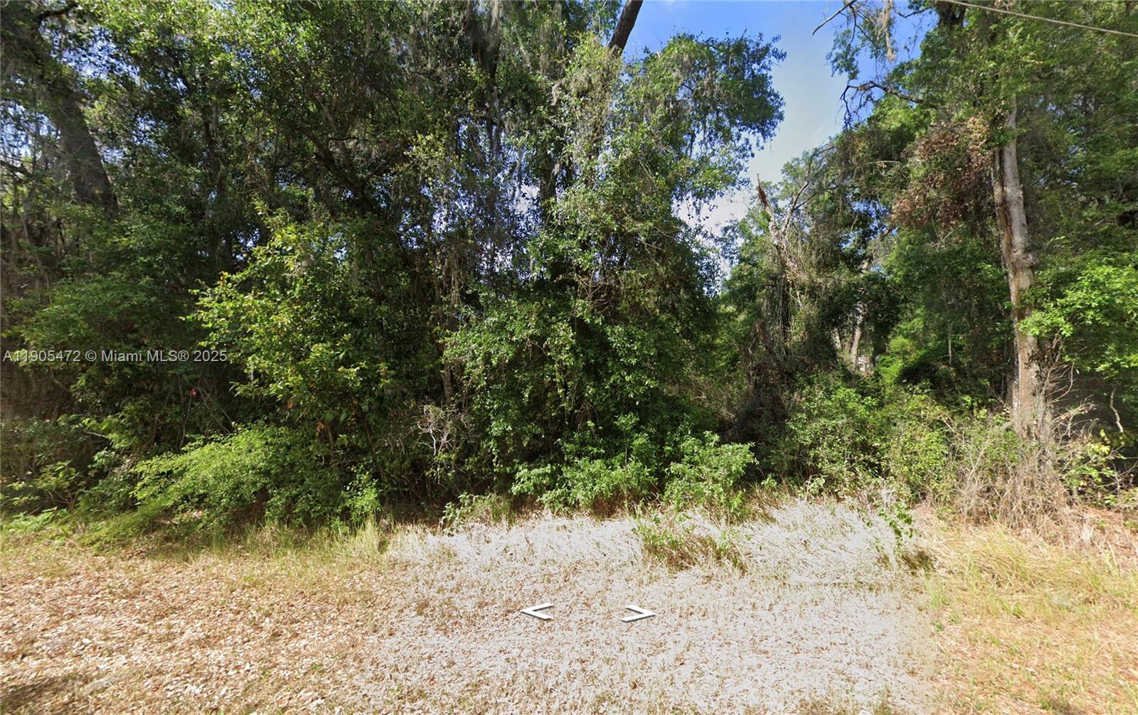 SILVER SPRINGS SHORES UNIT - Land