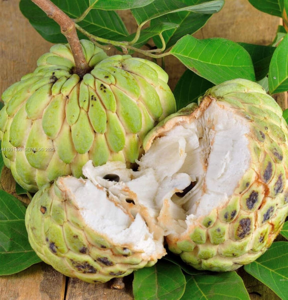 Sugar Apple Grove - Residential