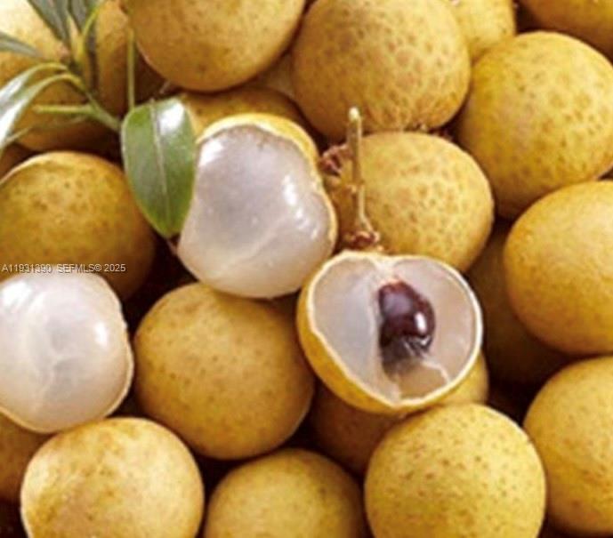 Sugar Apple Grove - Residential