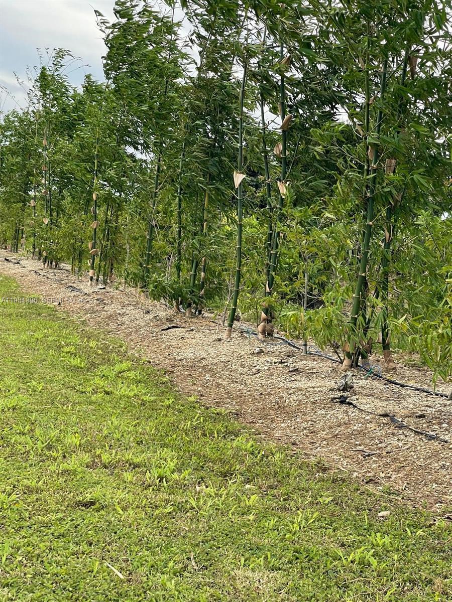 Sugar Apple Grove - Residential