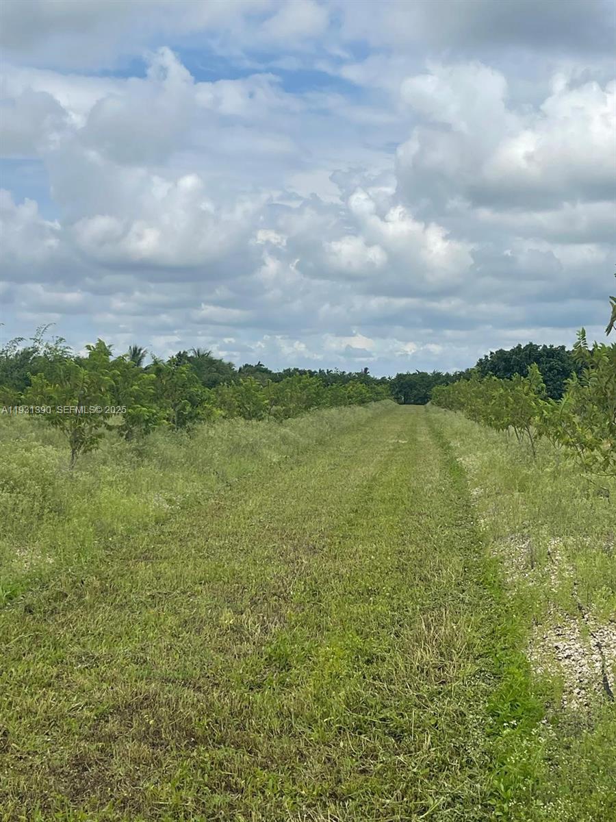 Sugar Apple Grove - Residential