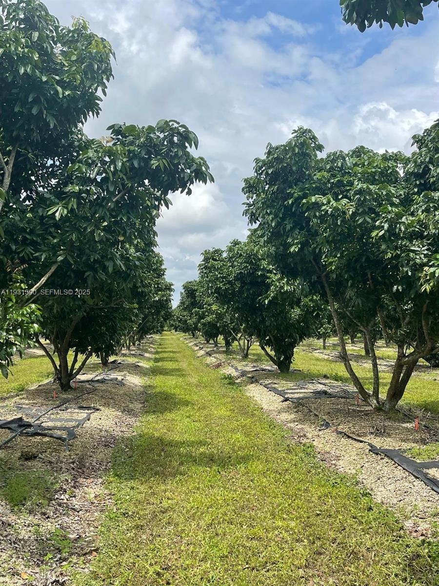 Sugar Apple Grove - Residential