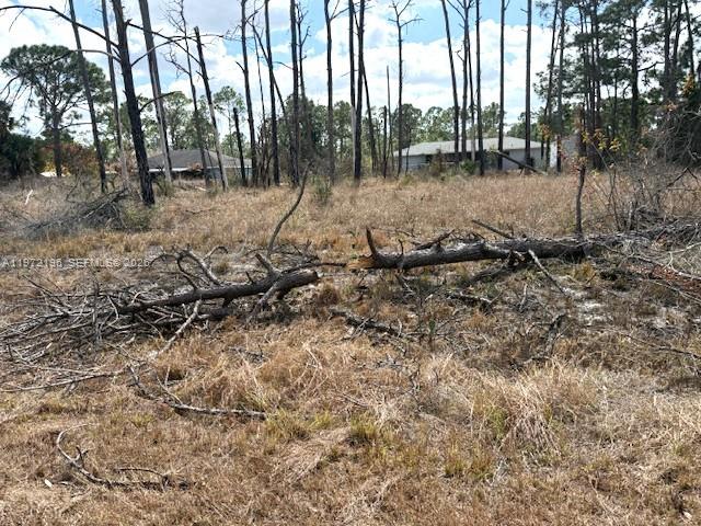 Sun N Lakes L.P. East Side - Land