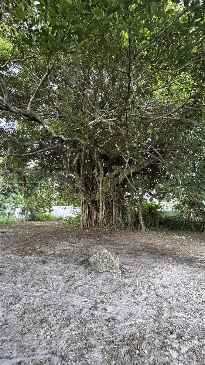 PLAT NO 1 OPA LOCKA - Residential