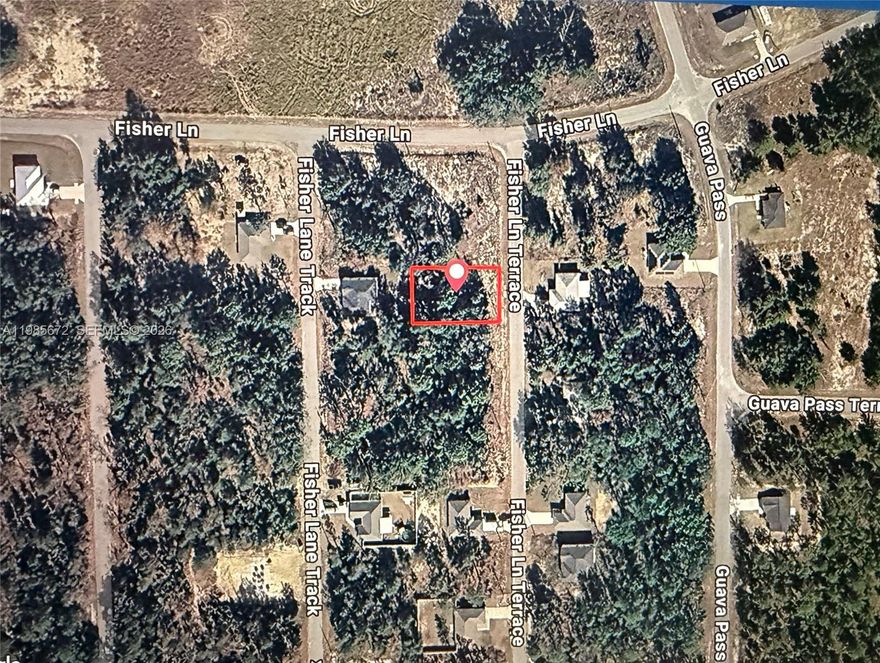Great opportunity to own land at an exceptional price! Don’t miss this chance to acquire a residential lot located at in Marion County—an area experiencing steady growth and surrounded by natural beauty. This property offers the ideal setting to build a home and achieve excellent potential return on investment. The lot is conveniently located near Lake Weir and the Ocala National Forest, offering a peaceful environment with access to outdoor recreation, boating, fishing, and nature trails. The area is also within a short drive to Ocala, The Villages, shopping, dining, and major highways, making it an attractive location for both homeowners and investors. Only $15,000 for this fantastic opportunity to secure land in a desirable and developing area. We also offer an optional construction project for buyers interested in building on the property. Additional lots are available at the same price, creating an excellent opportunity for investors or builders looking to expand their portfolio. Don’t miss this opportunity—contact us today for more information!