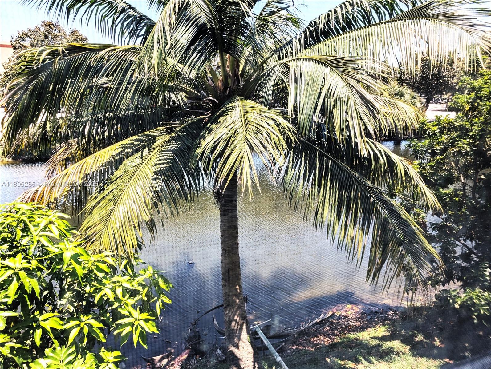 PARK SOUTH TEN INC CONDO - Residential