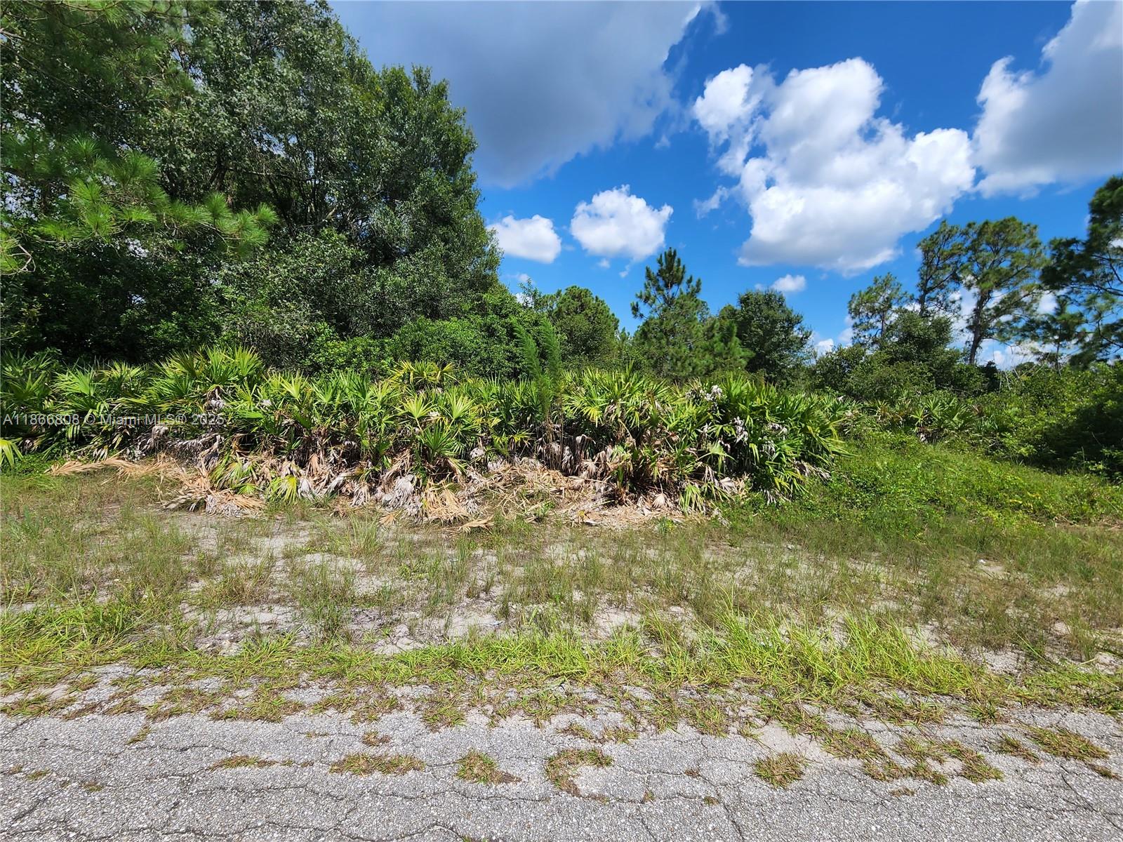 Great opportunity to build or invest in Lehigh Acres, FL. NO FLOOD ZONE!!! This spacious vacant lot located at 1402 State Ave offers 0.50 acres of land with an impressive 105 feet of frontage, providing plenty of space to design your ideal home with room for a garden, pool, garage, or more. Situated in a quiet residential neighborhood experiencing steady growth, the property offers convenient access to schools, shopping, dining, and major roadways. The lot has no HOA, and electricity is available nearby—making it ready for your next project. Whether you're a builder or a buyer looking for long-term value, this is a prime piece of land in one of Southwest Florida’s fastest-growing areas.