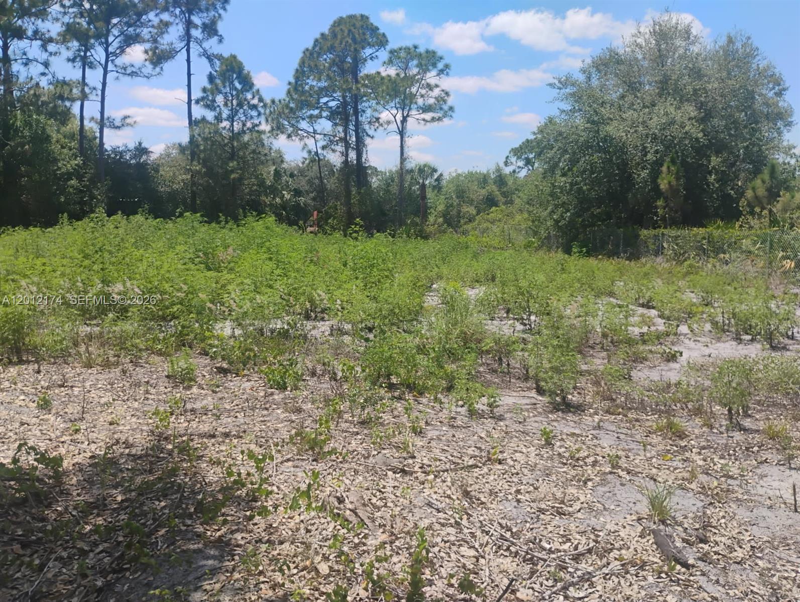 THE WOODLAND S/D - Land