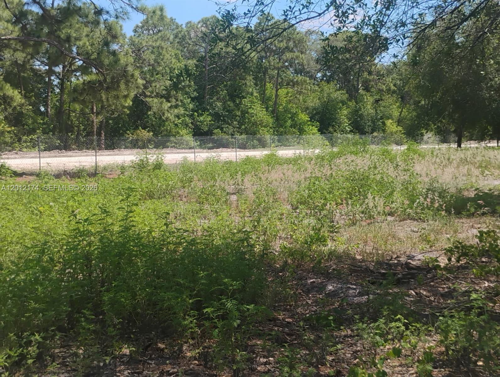 THE WOODLAND S/D - Land