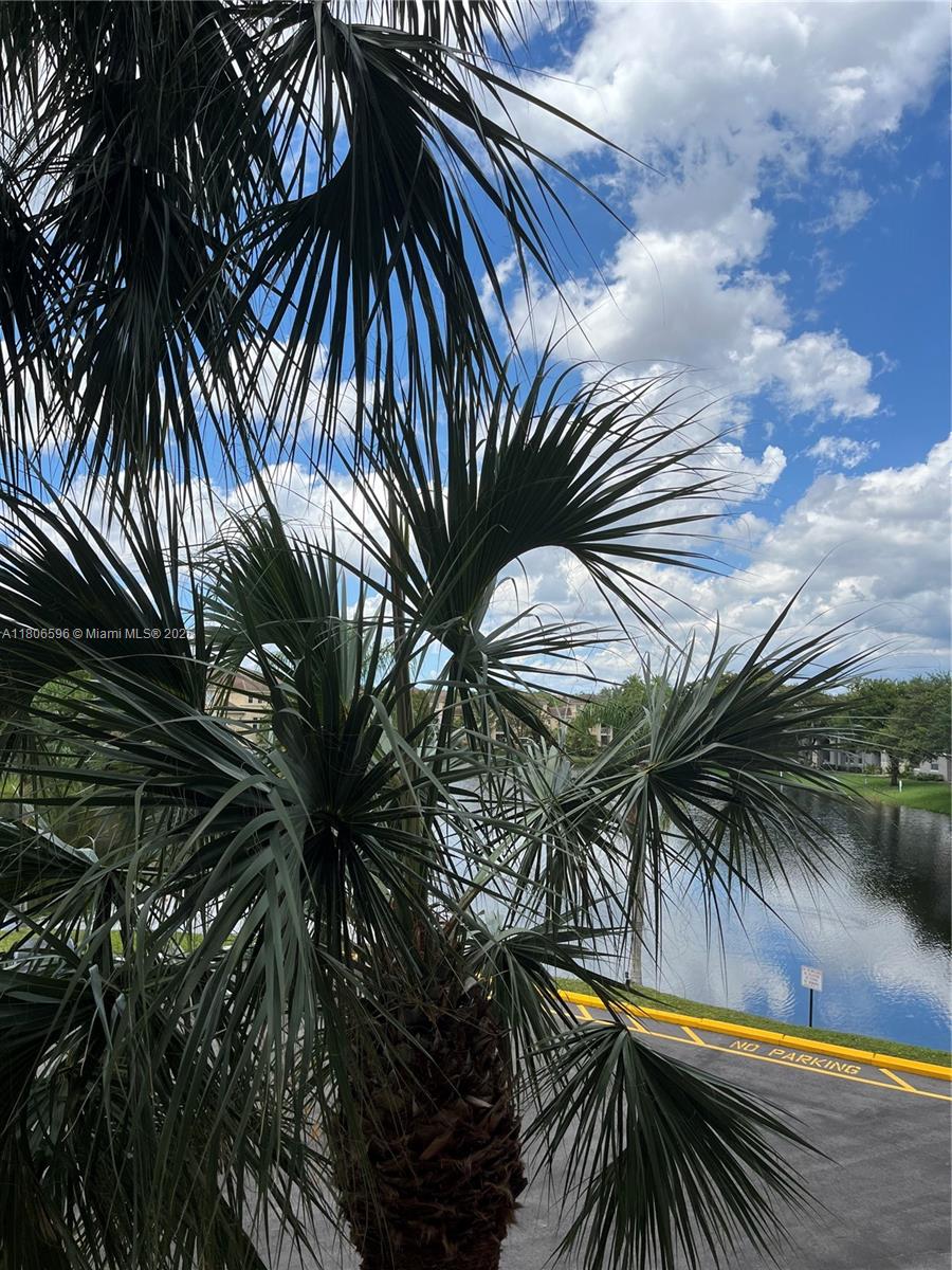 CORONADO AT JACARANDA PHA - Residential