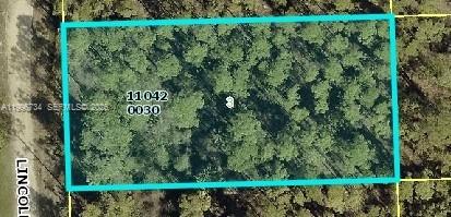 LEHIGH ACRES UNIT 11 - Land