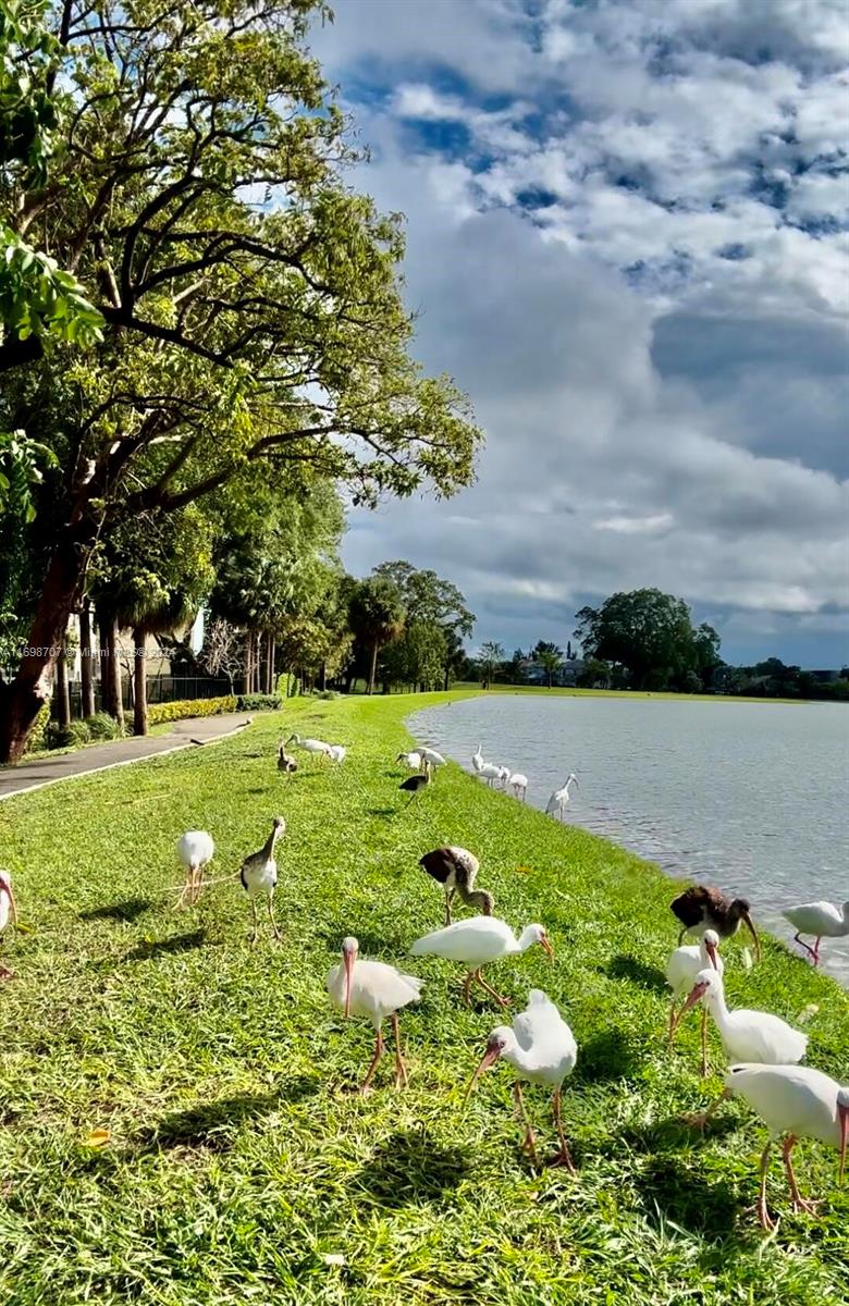 HILLCREST NO 21 CONDO - Residential