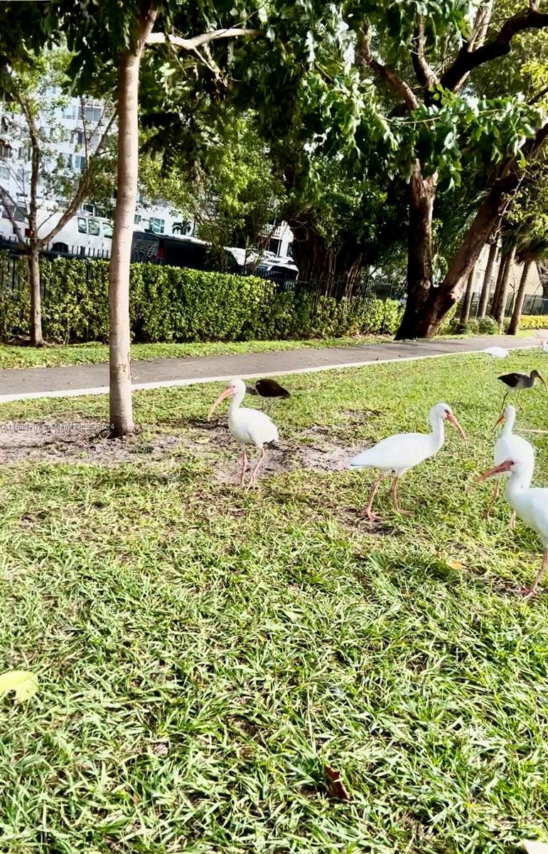 HILLCREST NO 21 CONDO - Residential