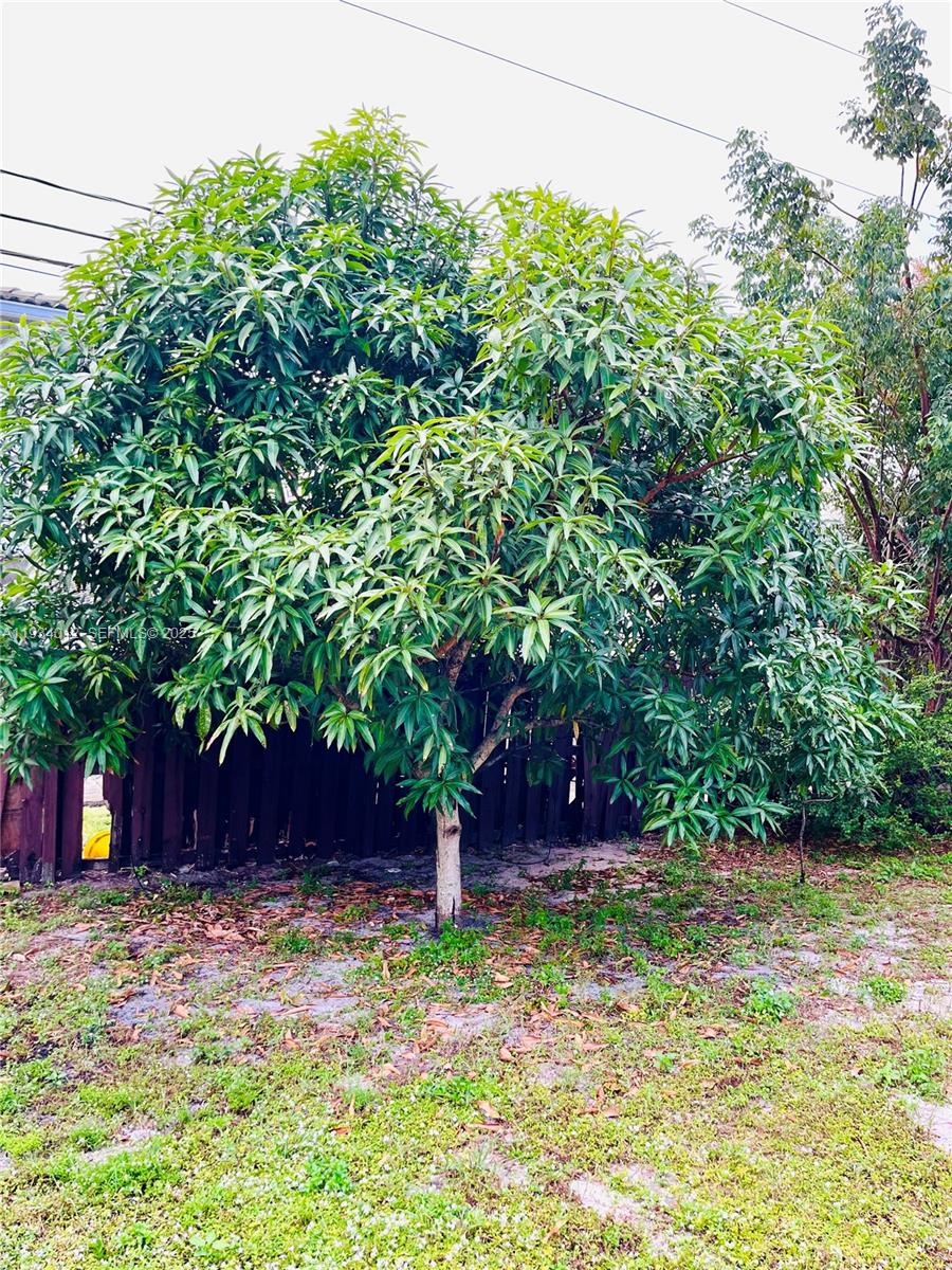 LAKE AIRE ESTATES - Residential