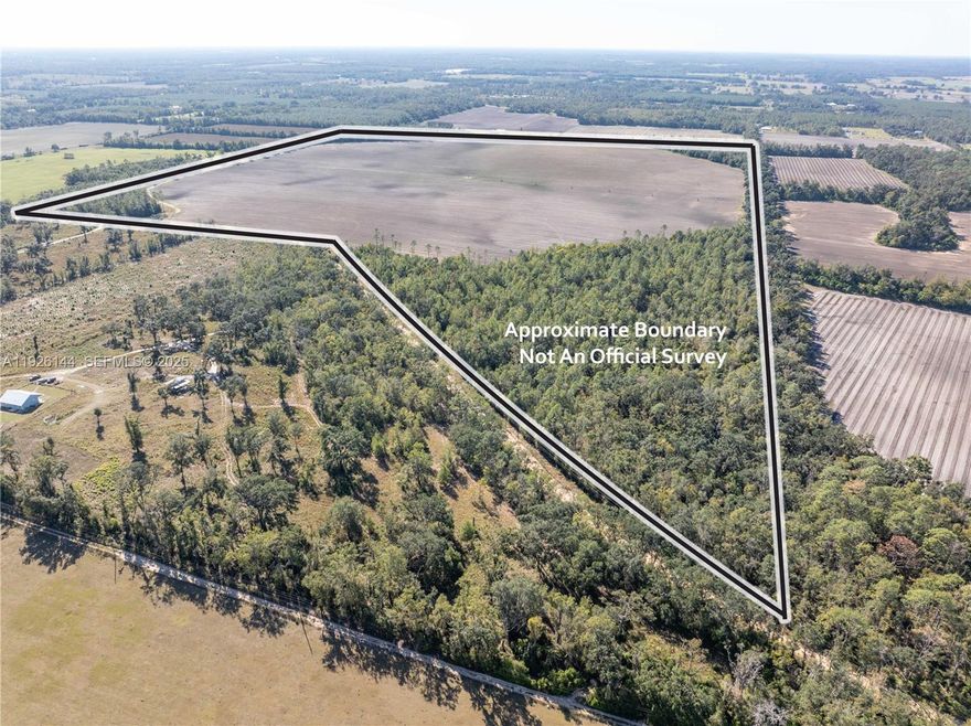 Commercial farmland composed of 180-ac. and 103-ac. irrigated cropland tracts. The 180-ac. tract is composed of irrigated cropland (138 ac. +/-), cleared planted pines and woodland (27 ac. +/-), and dry corners (15 ac. +/-). A 7-tower center pivot system, a 10-inch-diameter irrigation well, and 100HP pump. The 103-ac. tract is composed of irrigated cropland (75 ac. +/-), non-irrigated cropland (19 ac. +/-), dry corners (5 ac. +/-); and former building site (4 ac. +/-). Two nearly new 3-tower center pivot systems, an 8-inch-diameter irrigation well, and a submersible pump. The farm is leased until December 31, 2025.