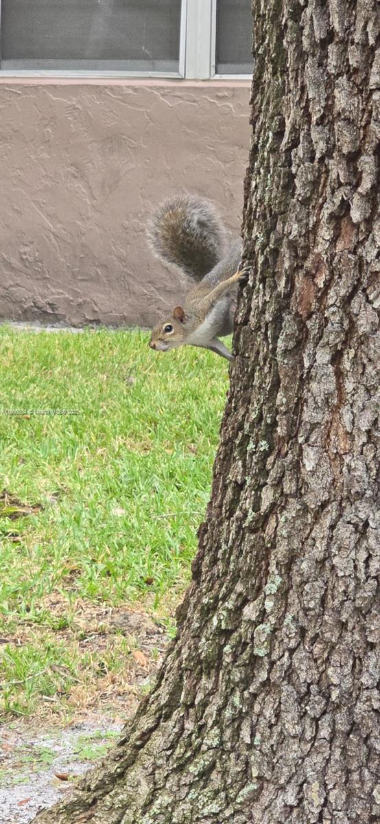 SHERWOOD SQUARE CONDOMINI - Residential Lease