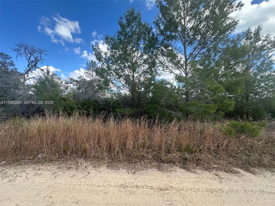 Owner financing available !Owner will finance with $2500 down and 30 monthly payments of $273.20 No credit check . Here is your chace to own an oversizes lot (.26 acres) in a growing community. Lots of new construction in the area,power line directly in front of the property.