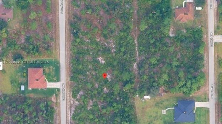 High and Dry Lot ready for you to invest or build your dream home!  Enjoy the peaceful surroundings and the convenience of nearby amenities. With its prime location, this property is a fantastic opportunity for those seeking space and tranquility. Don't miss your chance to own a piece of Florida's beautiful landscape.