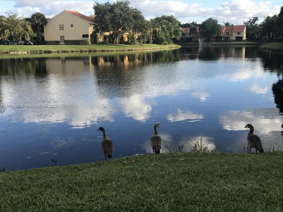 OLIVINE AT THE TOWNSHIP - Residential Lease