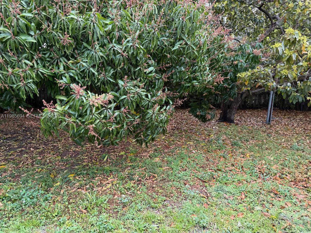 EVERGLADES SUGAR & LAND C - Residential