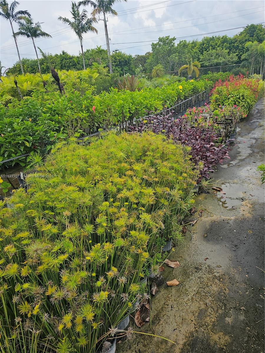 CASEYS CORNER NURSERY - Land