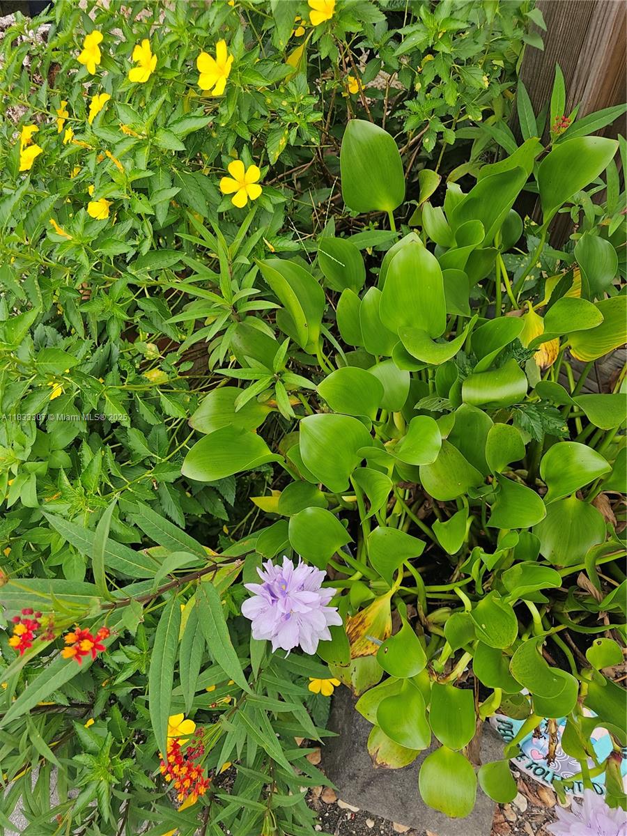 CASEYS CORNER NURSERY - Land