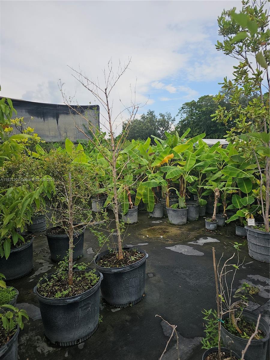 CASEYS CORNER NURSERY - Land