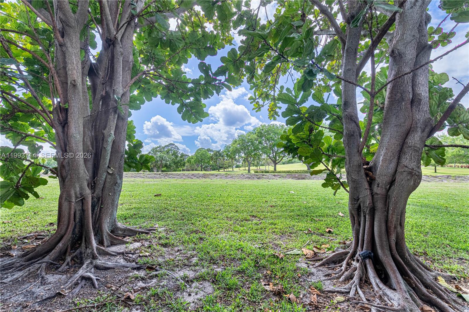 POLO TRACE 2 4 - Residential