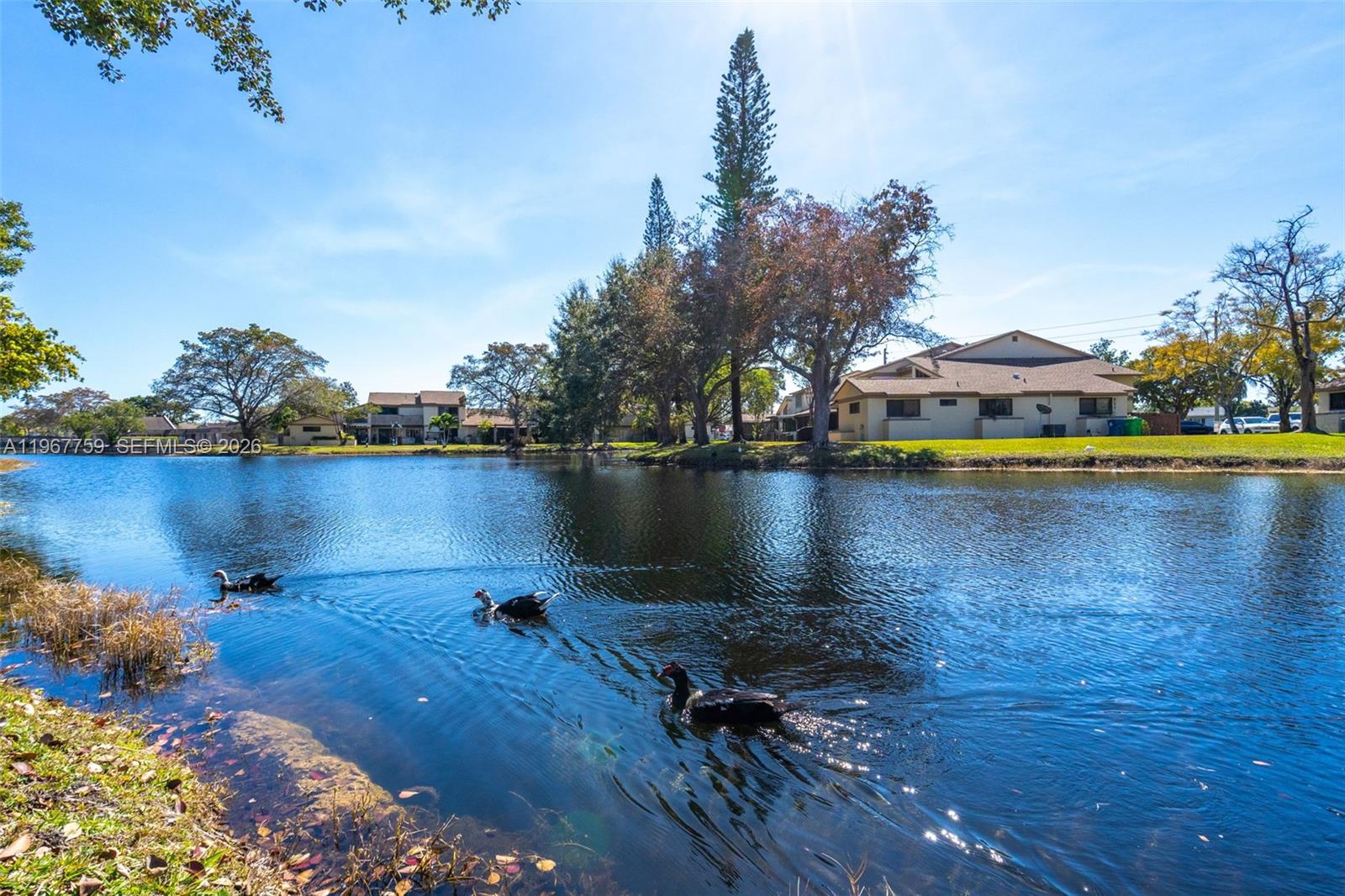 NORTH LAKE TOWNHOMES COND - Residential