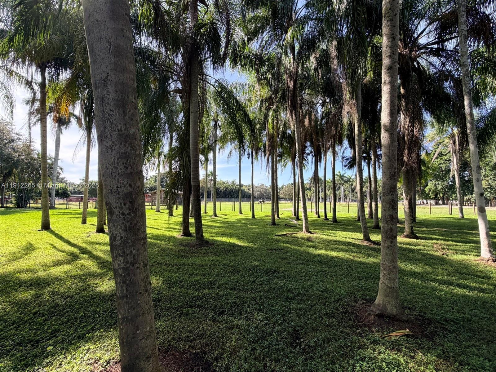 EVERGLADES SUGAR & LAND - Residential