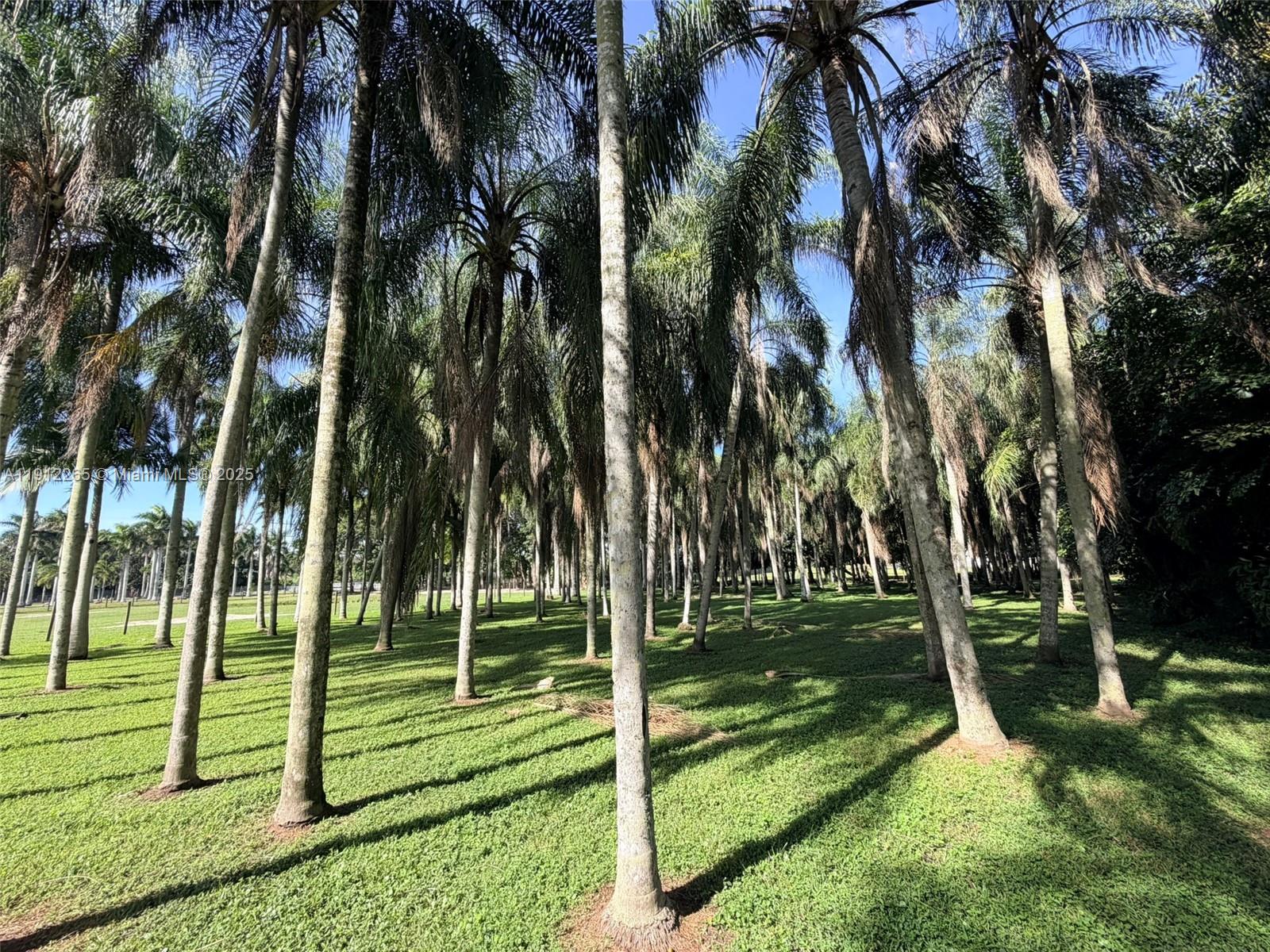 EVERGLADES SUGAR & LAND - Residential