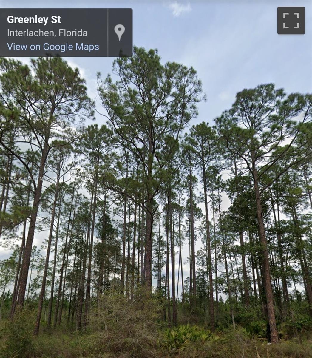 Amazing opportunity to invest in the Sunshine State. This .30 Acres lot is located less than 1 hour away from Ocala and 1 Hour away from St. Augustine, FL and Minutes away from St. Johns River. This Lot is located in a developing community. Mobile Homes are welcome ! Enjoy the Dirt roads and the beautiful sound of Nature.
Contact the Putnam Zoning Department to verify any information.