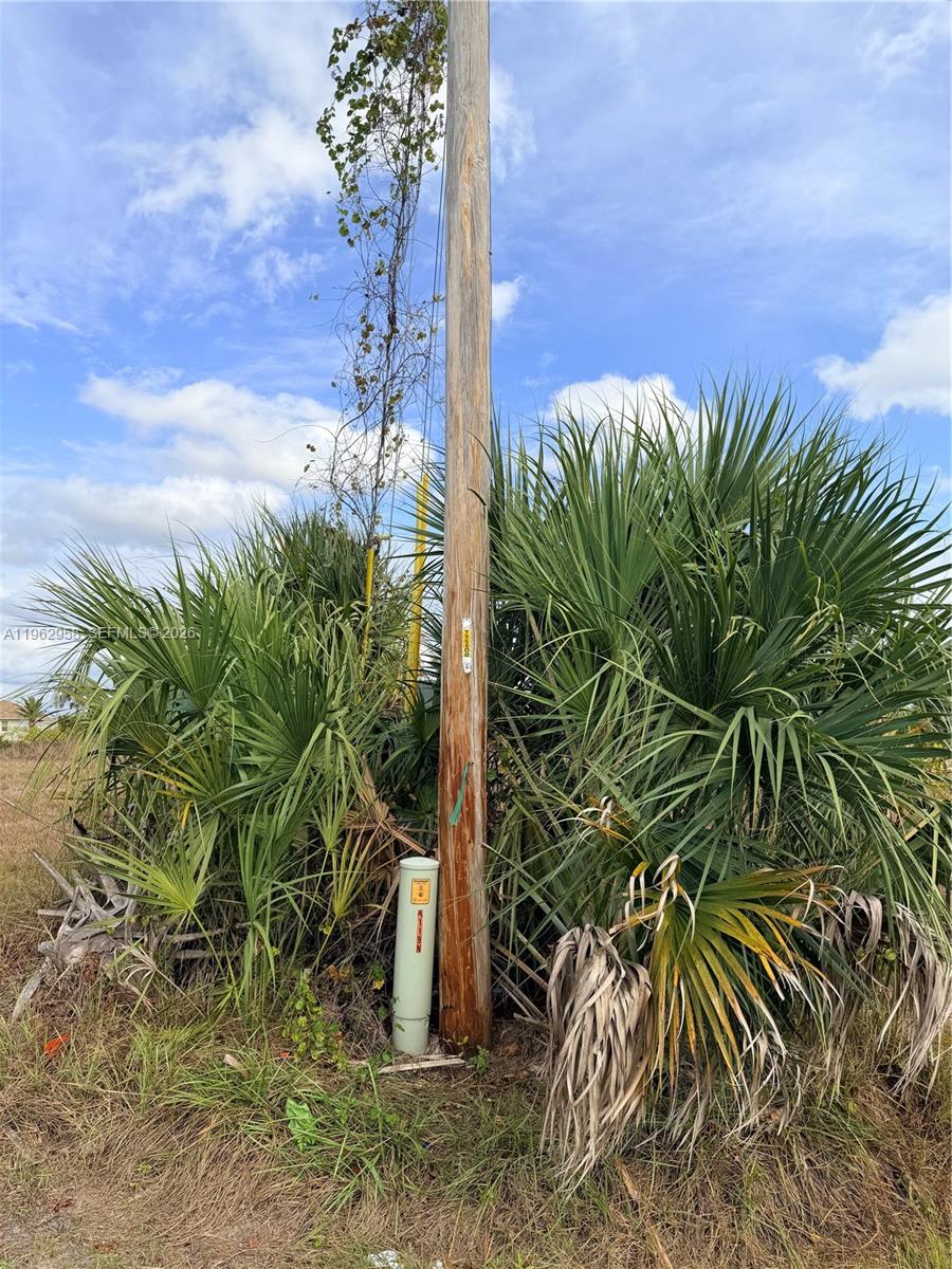 CAPE CORAL UNIT 84 - Land