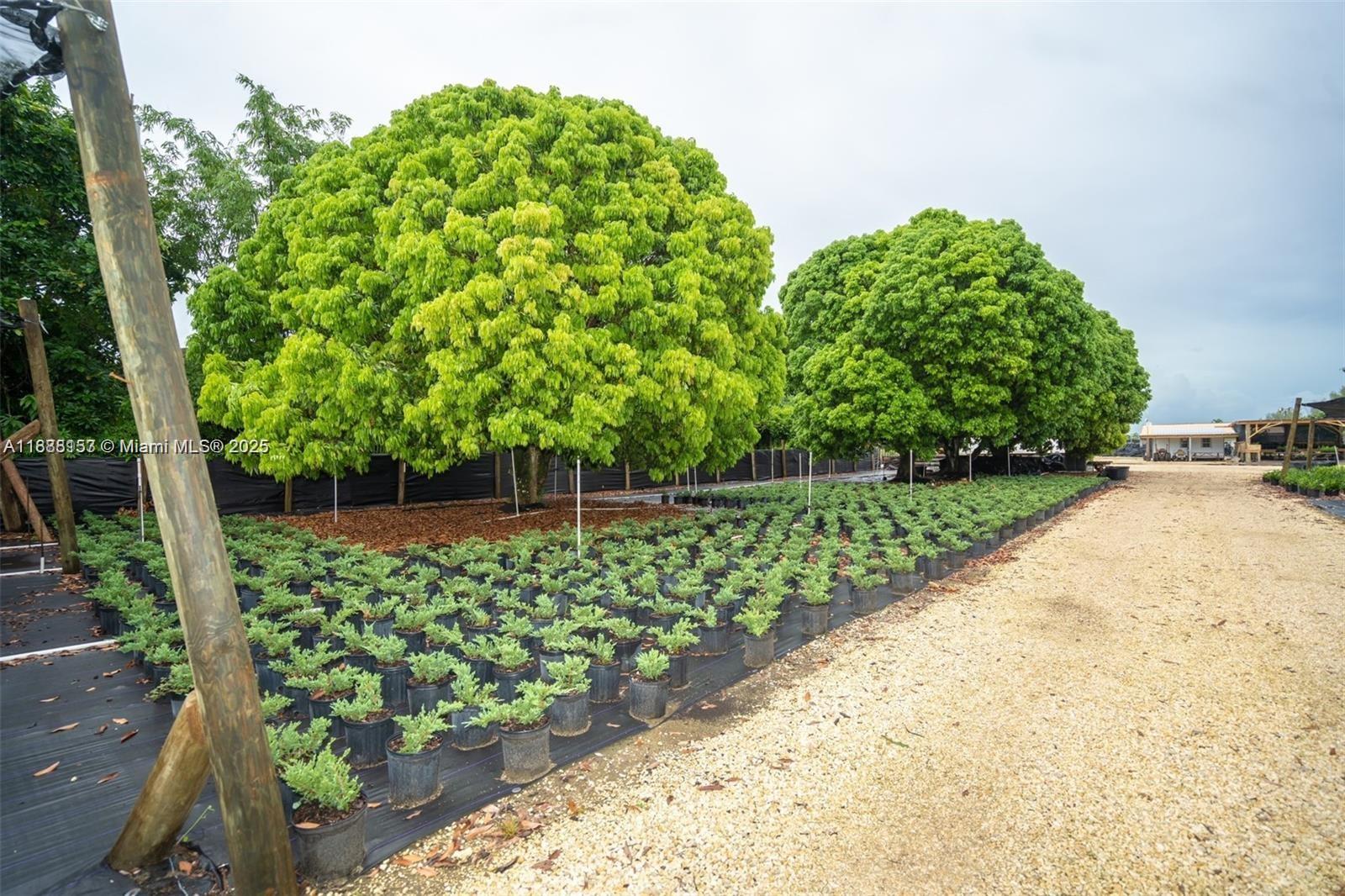 REDLAND 5 ACRE - Residential