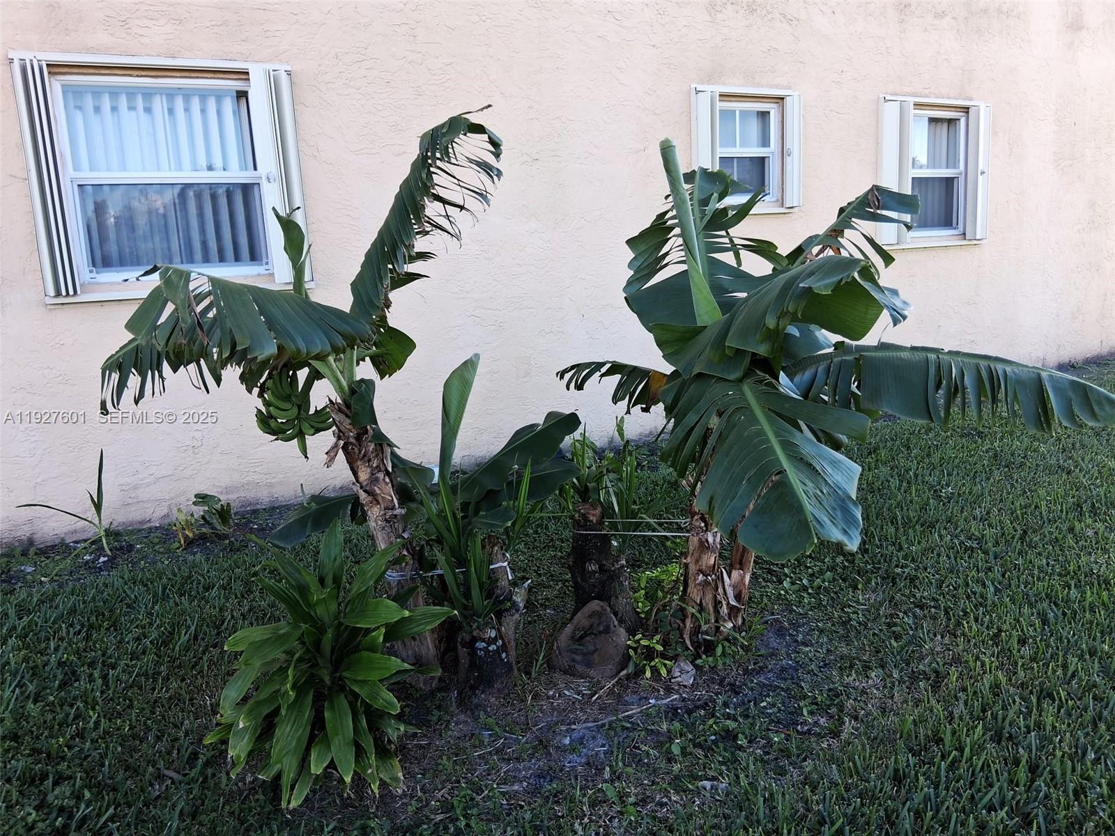 SUNRISE LAKES 68 CONDO - Residential