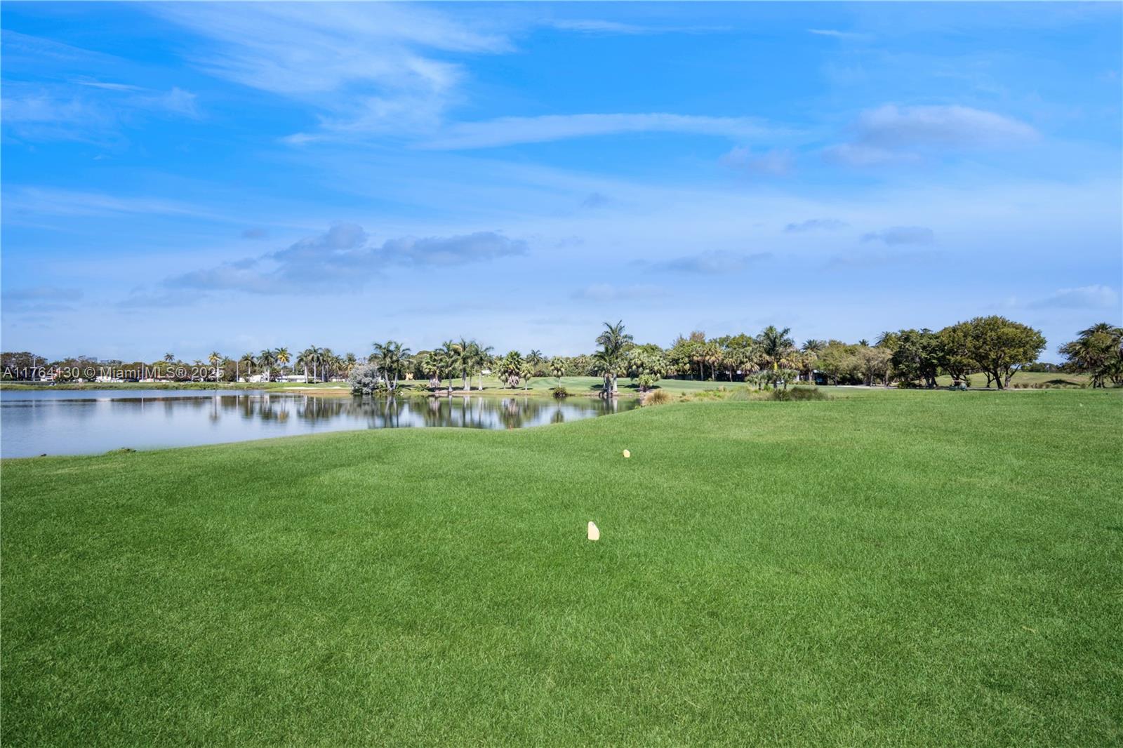 THE MERIDIAN CONDO - Residential