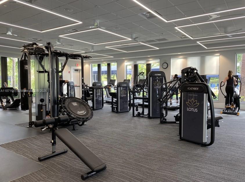 LOTUS PALM - Residential Lease