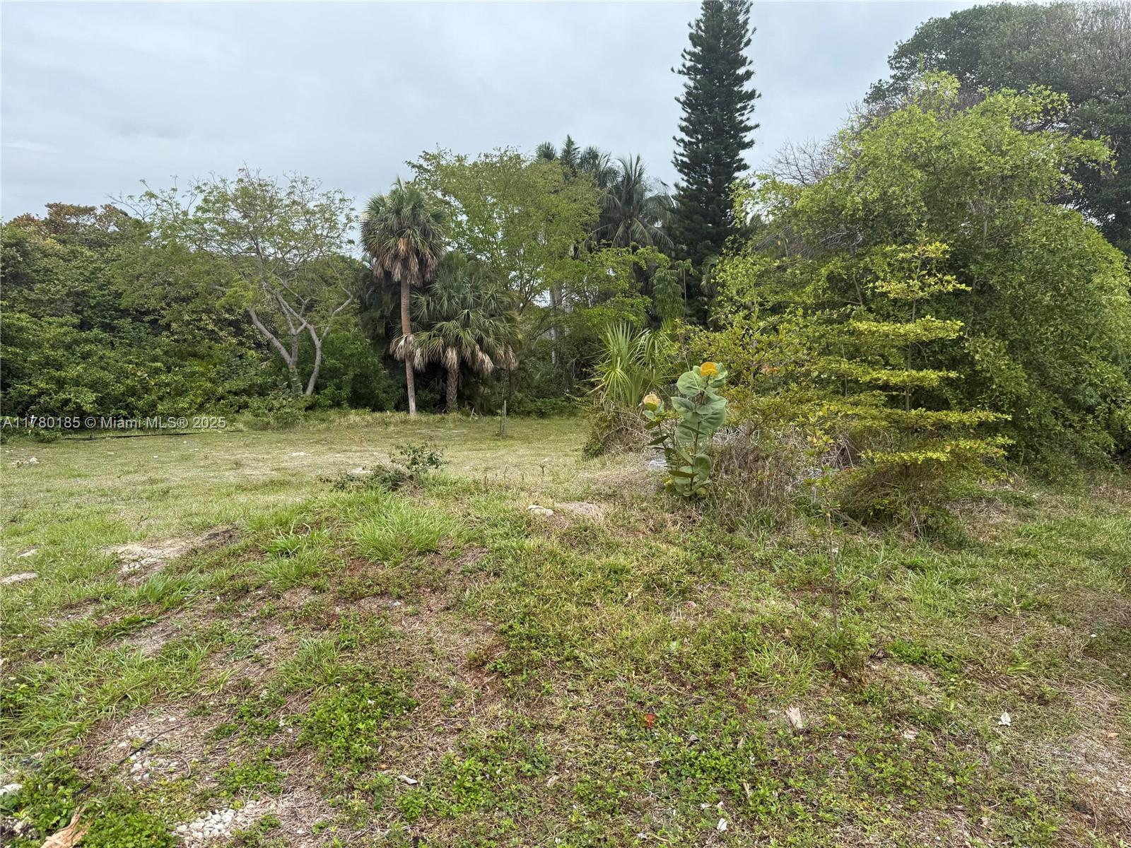 Prime oversized 14061square foot vacant land located in the desirable area of Fort Lauderdale beach, offering a fantastic opportunity to build your dream home. This spacious lot is situated on a quiet cul-de-sac, providing short walk to the beach (300 feet) and the backyard adjoins the tranquil coastal hammock of Hugh Taylor Birch State Park.. The property offers ample space for custom landscaping and outdoor living areas. Additionally, the building codes allows for a maximum structure of 35' granting the new owners the chance to take advantage of an awe-inspiring never ending view of the ocean, Don't miss the chance to create a personalized oasis in this sought-after location.
