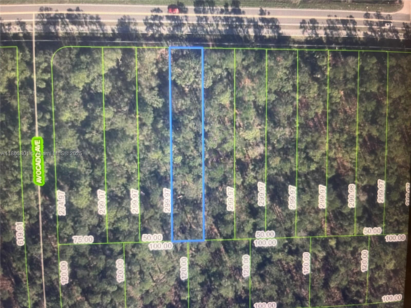 Prime Vacant Lot in Sebring, Florida. Unlock the potential of this prime vacant lot in the charming town of Sebring, Florida! Nestled in the heart of the Sunshine State, this property offers an incredible opportunity for development, perfect for constructing beautiful new homes. Sebring is renowned for its picturesque lakes & serene landscapes, making it a haven for outdoor enthusiasts. With its affordable cost of living and pleasant year-round climate, it's no wonder that Sebring is a favored destination for retirees, families, & anyone looking to enjoy a peaceful lifestyle this lot provides convenient access to urban amenities while maintaining the tranquility of small-town living. Buy this lot individually or in combination w/ the three adjacent lots (2681, 2667, 2651 Hammock Rd)