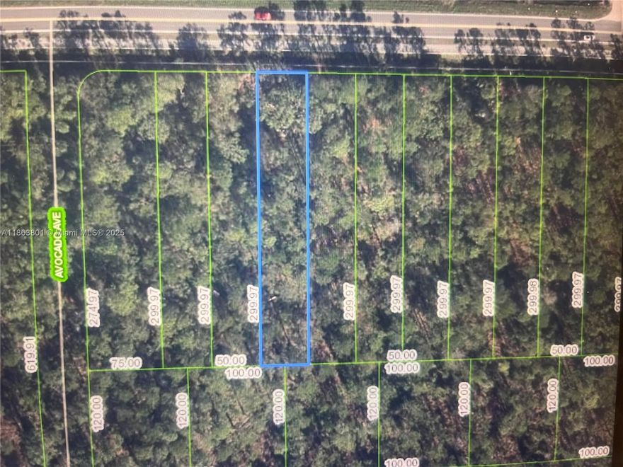 Prime Vacant Lot in Sebring, Florida. Unlock the potential of this prime vacant lot in the charming town of Sebring, Florida! Nestled in the heart of the Sunshine State, this property offers an incredible opportunity for development, perfect for constructing beautiful new homes. Sebring is renowned for its picturesque lakes & serene landscapes, making it a haven for outdoor enthusiasts. With its affordable cost of living and pleasant year-round climate, it's no wonder that Sebring is a favored destination for retirees, families, & anyone looking to enjoy a peaceful lifestyle this lot provides convenient access to urban amenities while maintaining the tranquility of small-town living. Buy this lot individually or in combination w/ the three adjacent lots (2681, 2667, 2651 Hammock Rd)