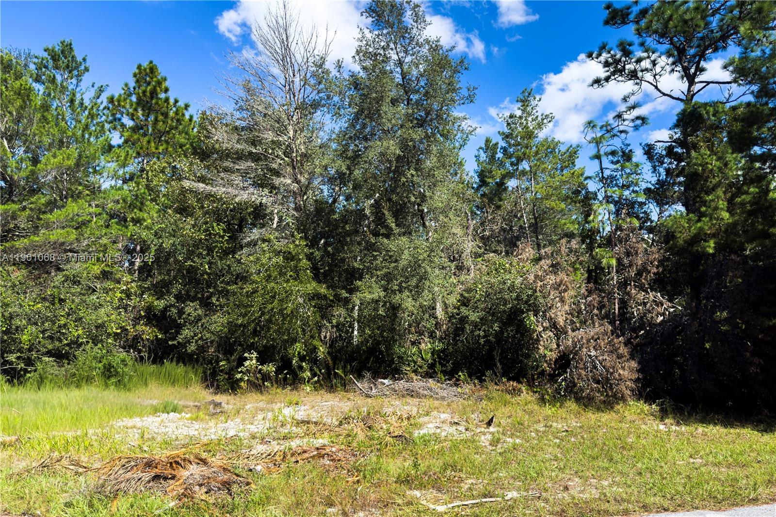 Marion Oaks UN 06 - Land