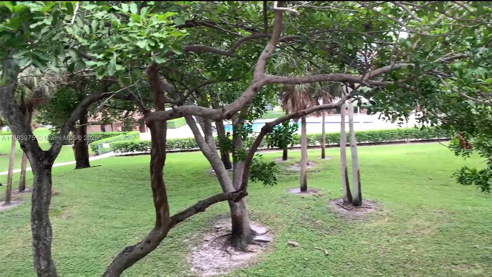 IVANHOE WEST AT CENTURY V - Residential