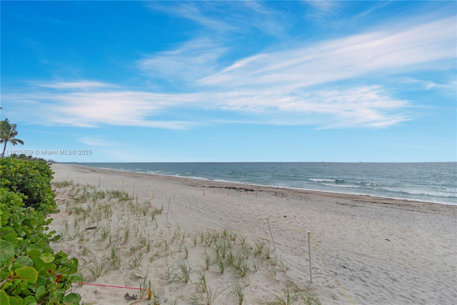 HILLSBORO WINDSOR CONDO - Residential